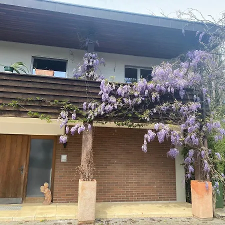 In Leafy Suburb Apartment *