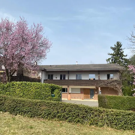 Apartment In Leafy Suburb