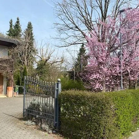 In Leafy Suburb Apartment
