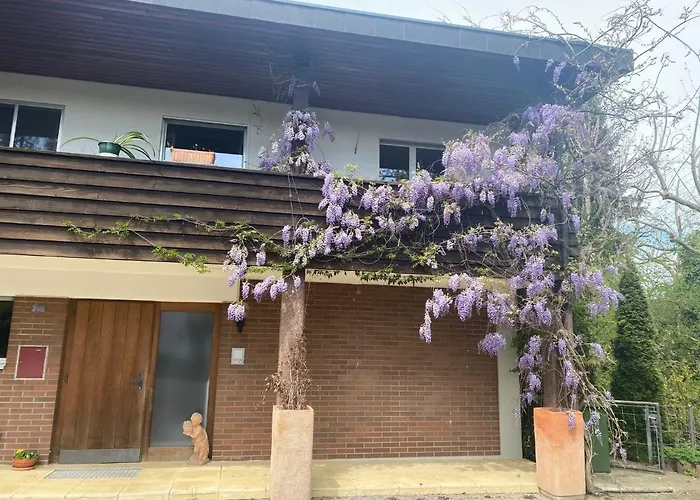 In Leafy Suburb Apartment *