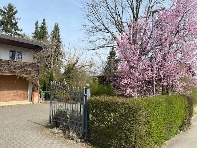 In Leafy Suburb Apartment