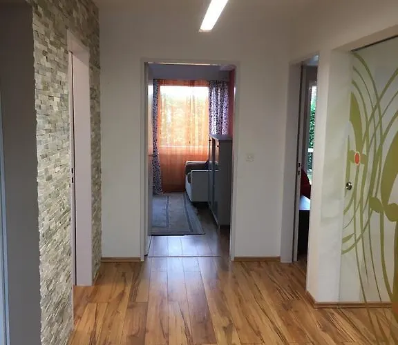 In Leafy Suburb Apartment