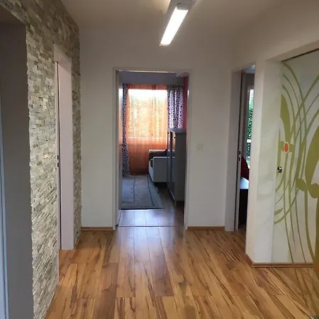 In Leafy Suburb Apartment